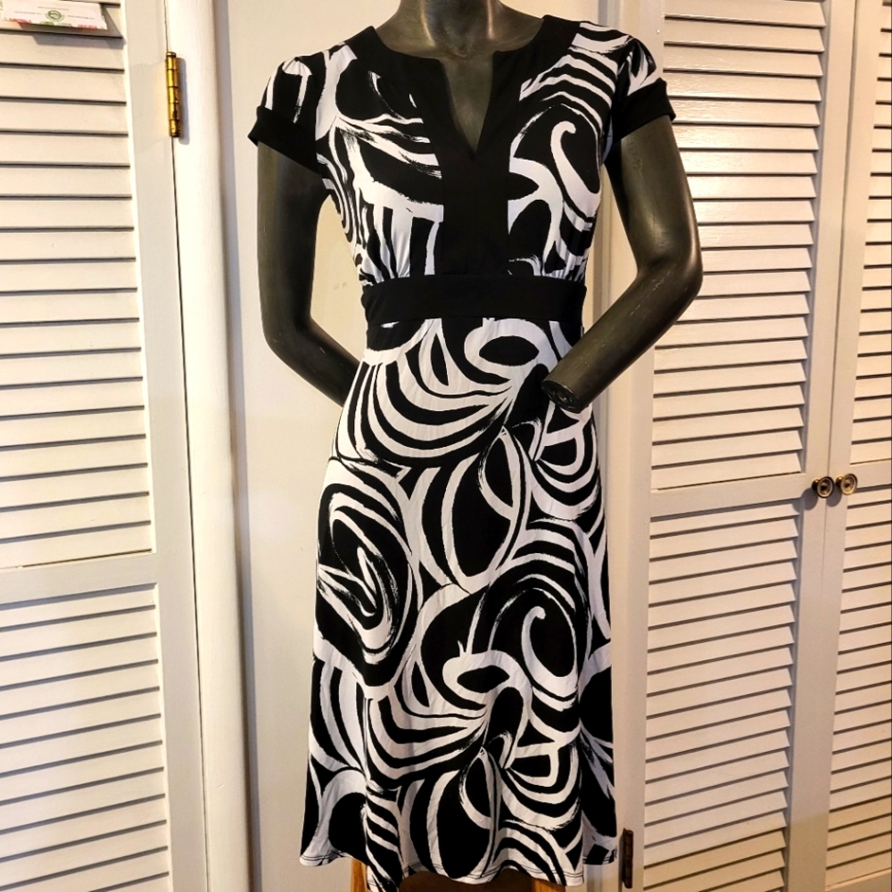 Women's Dress size Large